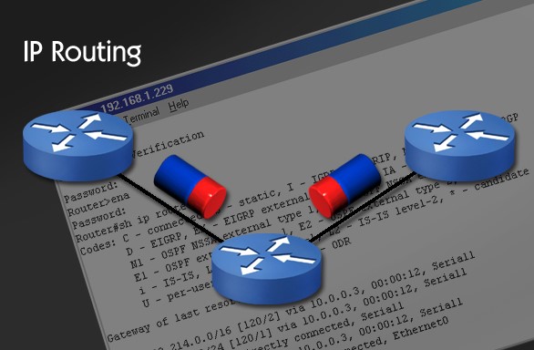 ip routing