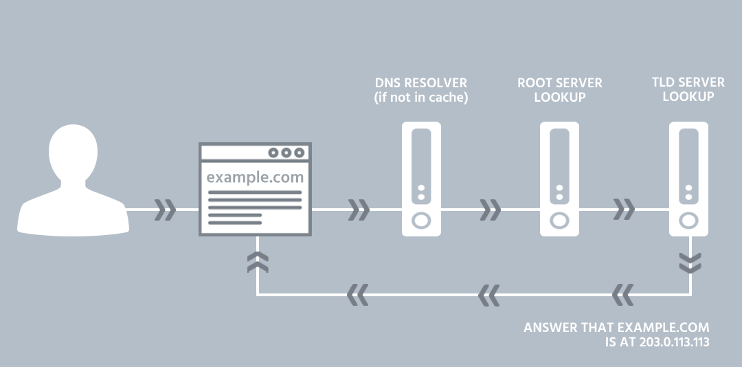 dns query