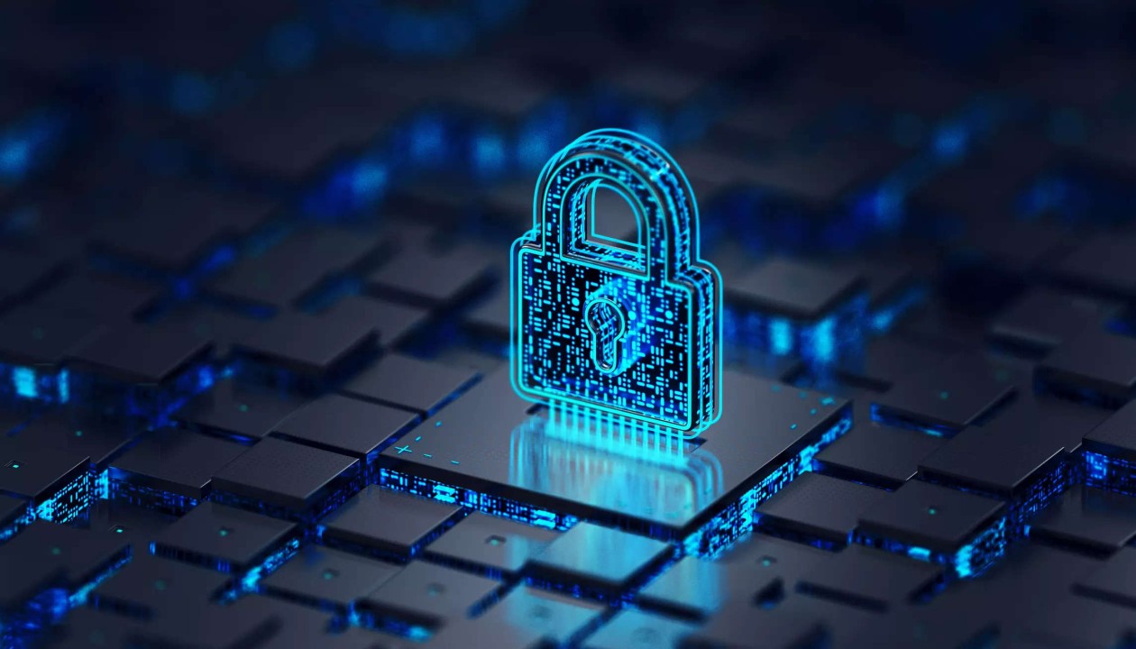 ip security