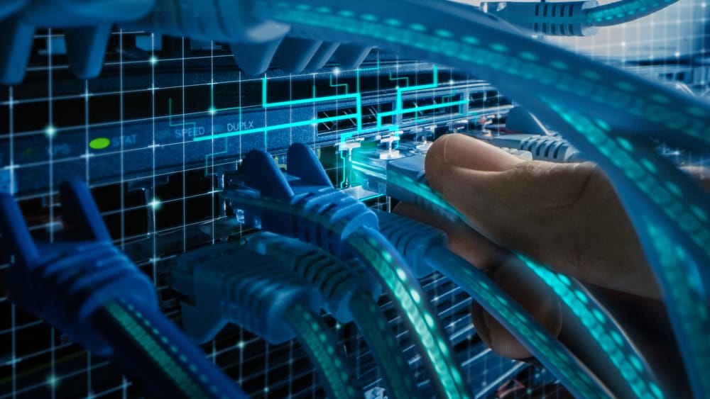 white box networking