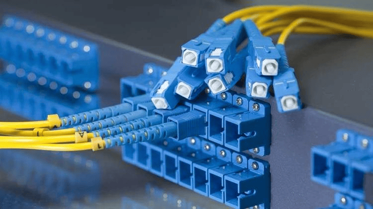optical transport network